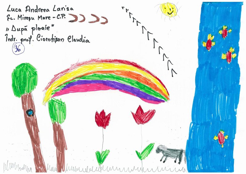 36_Andreea Larisa LUCA_Miresu Mare.jpg